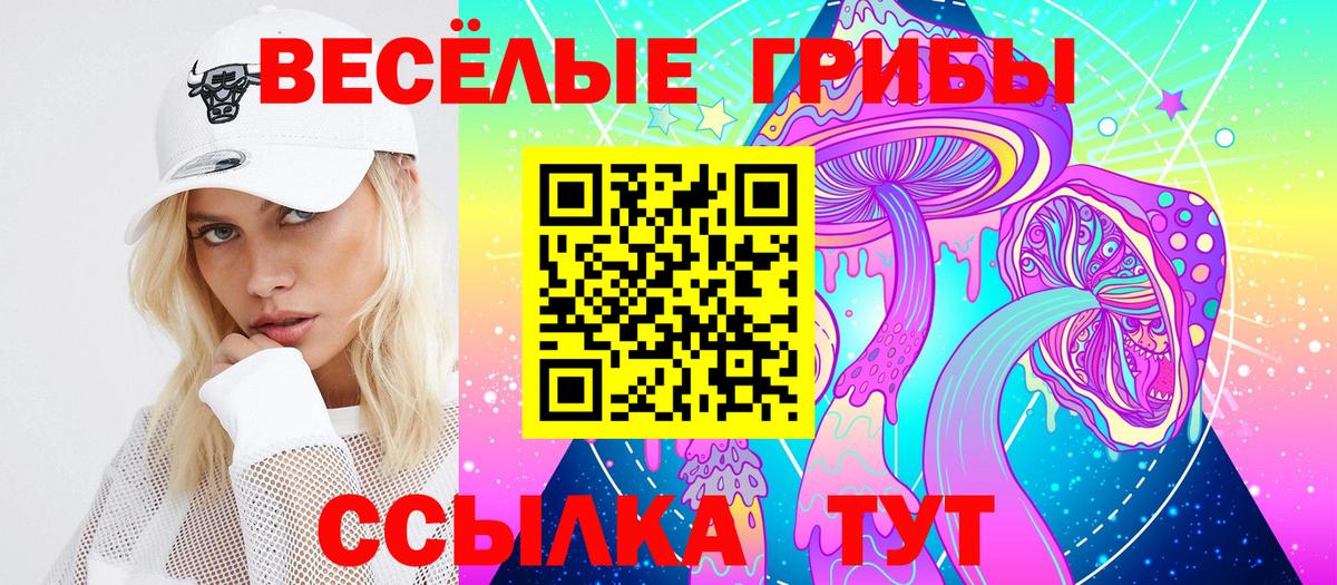 Батайск  купить   Вход с VPN  Галлюциногенные грибы GOLDEN TEACHER 
